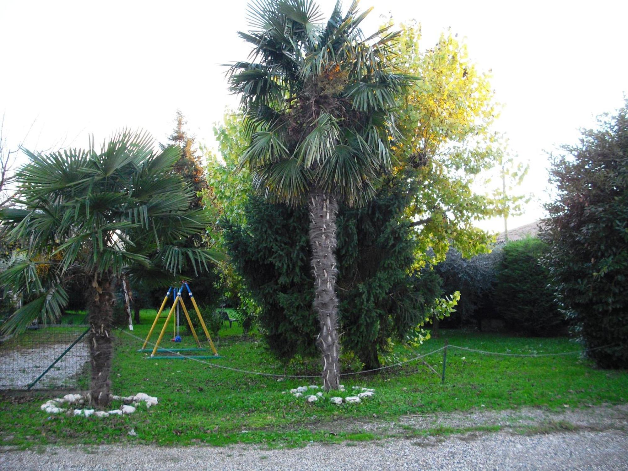 Girelli Sorelle 2*